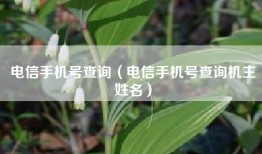 电信手机号查询（电信手机号查询机主姓名）