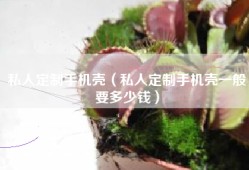 私人定制手机壳（私人定制手机壳一般要多少钱）