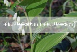 手机过热会爆炸吗（手机过热会坏吗）