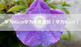 华为Mate20华为手机报价「华为Mate20」