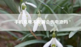 手机充电不充满会伤电池吗