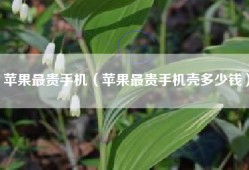 苹果最贵手机（苹果最贵手机壳多少钱）