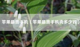苹果最贵手机（苹果最贵手机壳多少钱）