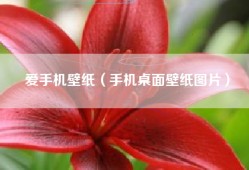 爱手机壁纸（手机桌面壁纸图片）