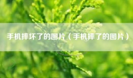 手机摔坏了的图片（手机摔了的图片）