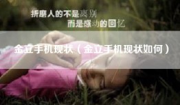 金立手机现状（金立手机现状如何）