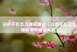 安卓手机怎么强制重启（安卓手机怎么强制重启或者关机）
