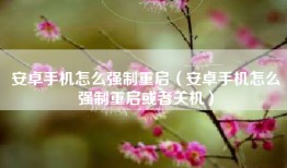 安卓手机怎么强制重启（安卓手机怎么强制重启或者关机）
