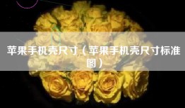 苹果手机壳尺寸（苹果手机壳尺寸标准图）