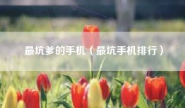 最坑爹的手机（最坑手机排行）