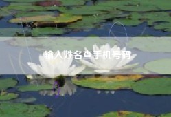输入姓名查手机号码