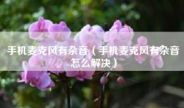 手机麦克风有杂音（手机麦克风有杂音怎么解决）