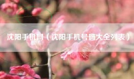 沈阳手机网（沈阳手机号码大全列表）