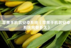 苹果手机装安卓系统（苹果手机装安卓系统需要多久）