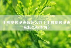 手机视频没声音怎么办（手机视频没声音怎么办华为）