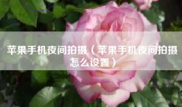 苹果手机夜间拍摄（苹果手机夜间拍摄怎么设置）
