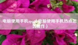 电脑使用手机app（电脑使用手机热点怎么操作）