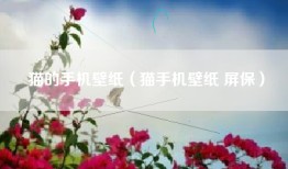 猫的手机壁纸（猫手机壁纸 屏保）