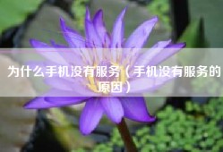 为什么手机没有服务（手机没有服务的原因）