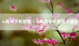 4k高清手机壁纸（4k高清手机壁纸全面屏）