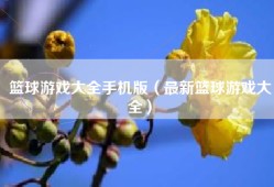 篮球游戏大全手机版（最新篮球游戏大全）