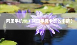 阿里手机卡（阿里手机卡怎么申请）