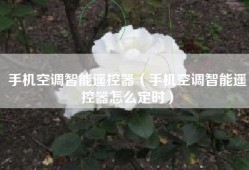 手机空调智能遥控器（手机空调智能遥控器怎么定时）
