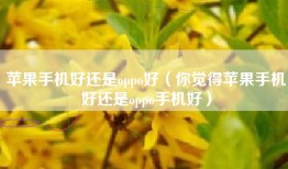 苹果手机好还是oppo好（你觉得苹果手机好还是oppo手机好）