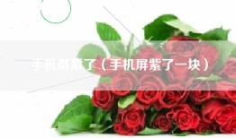 手机屏紫了（手机屏紫了一块）