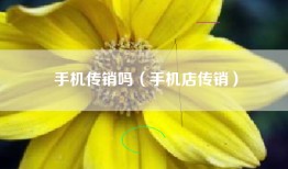 手机传销吗（手机店传销）