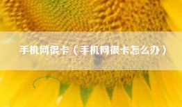 手机网很卡（手机网很卡怎么办）