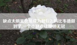 缺点太明显也能成为超巨？科比韦德做到了,一个小缺点让姚明无冠