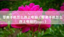 苹果手机怎么连上电脑（苹果手机怎么连上电脑的itunes）