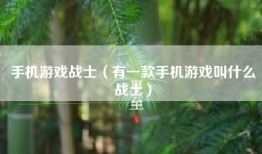 手机游戏战士（有一款手机游戏叫什么战士）