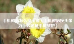 手机微信怎么换头像（手机微信换头像为什么老是手机维护）