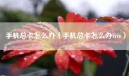 手机总卡怎么办（手机总卡怎么办vivo）