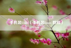 手机装linux（手机装linux 教程）