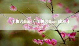 手机装linux（手机装linux 教程）