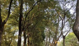 苹果手机流水线上的90后人生：7-10月最有奔头 但工厂只是生活跳板苹果手机10「苹果手机流水线上的90后人生：7-10月最有奔头 但工厂只是生活跳板」