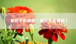 夏普手机桌面（夏普手机面板）