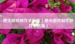 橙光游戏制作手机版（橙光游戏制作软件手机版）