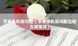 苹果手机新功能（苹果手机新功能介绍在哪里找）