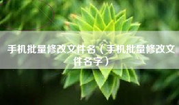 手机批量修改文件名（手机批量修改文件名字）