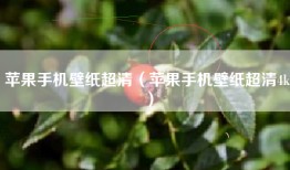 苹果手机壁纸超清（苹果手机壁纸超清4k）