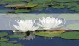 宝淘手机（手机淘宝手机）