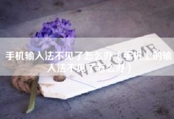 手机输入法不见了怎么办（手机上的输入法不见了怎么办）