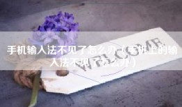 手机输入法不见了怎么办（手机上的输入法不见了怎么办）