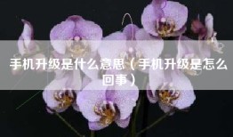 手机升级是什么意思（手机升级是怎么回事）
