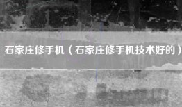 石家庄修手机（石家庄修手机技术好的）