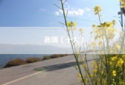 高端（十大）
